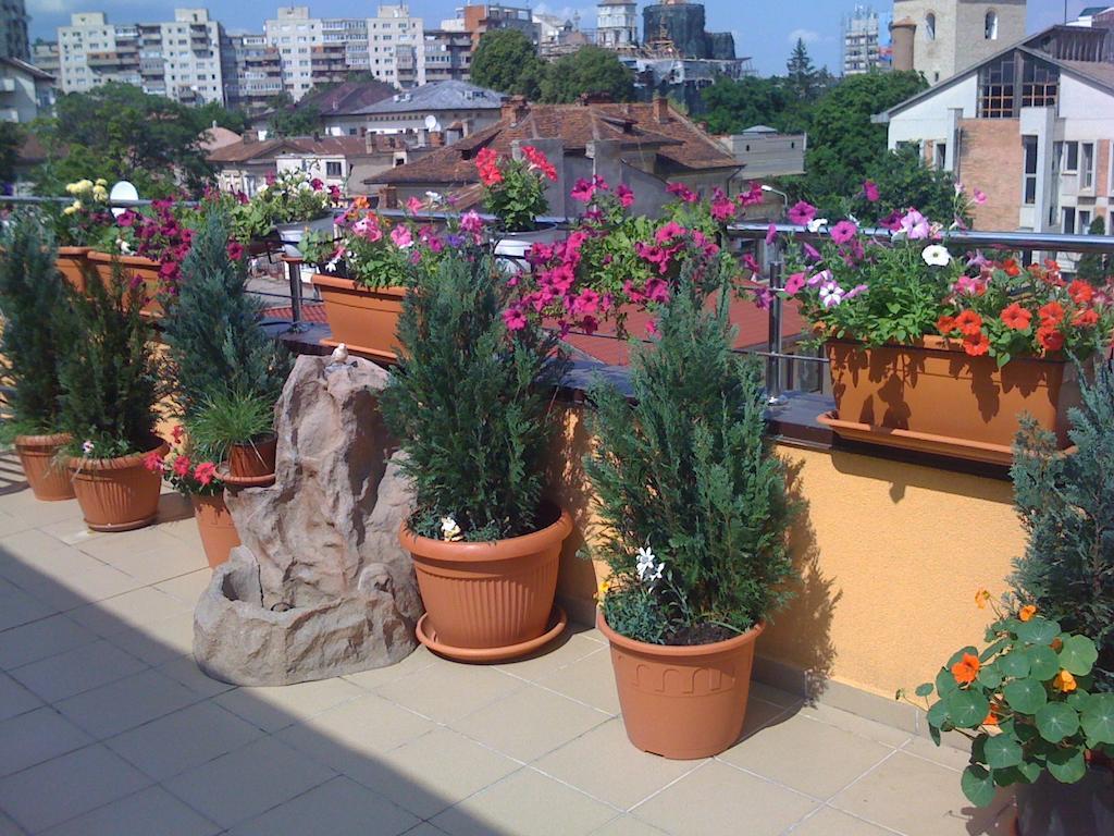 Appartement Penthouse City Centre à Iasi Extérieur photo